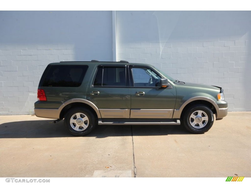 2003 Expedition Eddie Bauer - Aspen Green Metallic / Medium Parchment photo #2