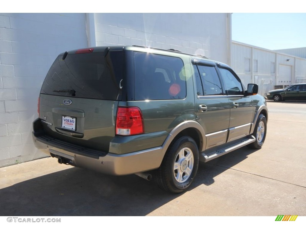 2003 Expedition Eddie Bauer - Aspen Green Metallic / Medium Parchment photo #3