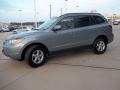 2008 Platinum Sage Hyundai Santa Fe GLS  photo #19