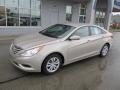 Camel Pearl - Sonata GLS Photo No. 2