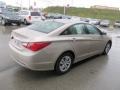Camel Pearl - Sonata GLS Photo No. 6