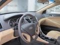 Camel Pearl - Sonata GLS Photo No. 13
