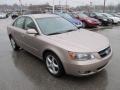 Golden Beige - Sonata GLS V6 Photo No. 8