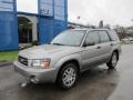 Crystal Gray Metallic - Forester 2.5 XS L.L.Bean Edition Photo No. 1