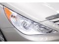 Camel Pearl - Sonata GLS Photo No. 5