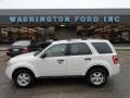 2011 White Suede Ford Escape XLT 4WD  photo #1