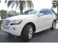 2010 Arctic White Mercedes-Benz ML 350  photo #2