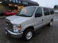 Ingot Silver Metallic - E Series Van E350 XLT Passenger Photo No. 8