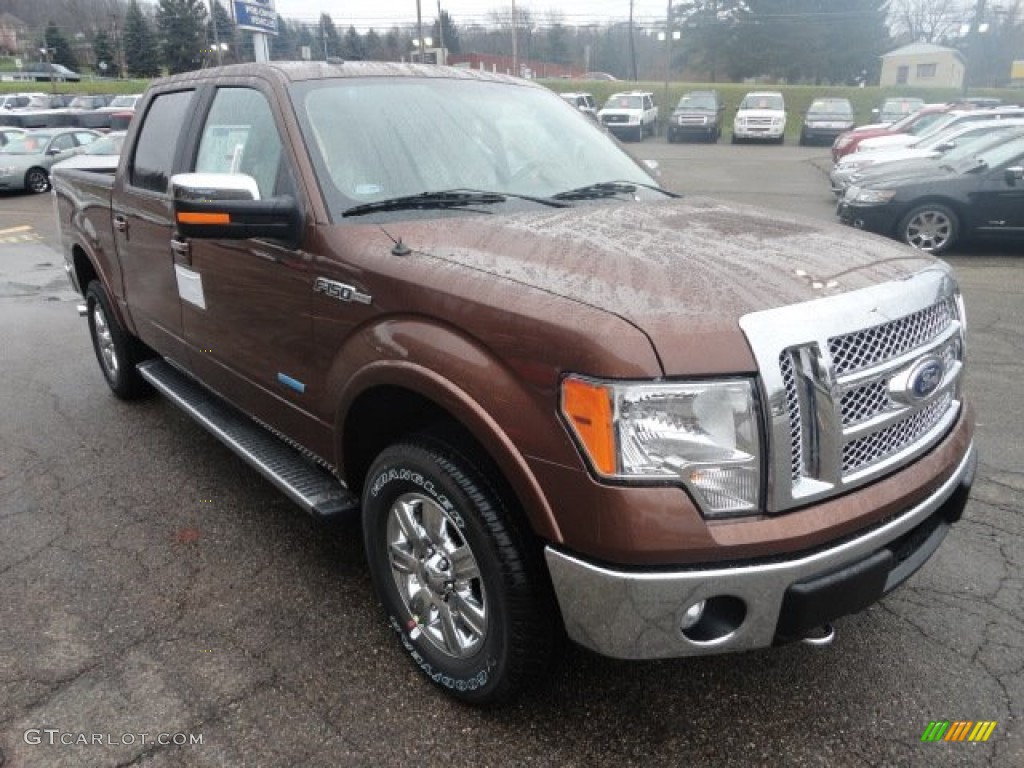 2011 F150 XLT SuperCrew 4x4 - Golden Bronze Metallic / Pale Adobe photo #6