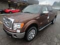 Golden Bronze Metallic - F150 XLT SuperCrew 4x4 Photo No. 8