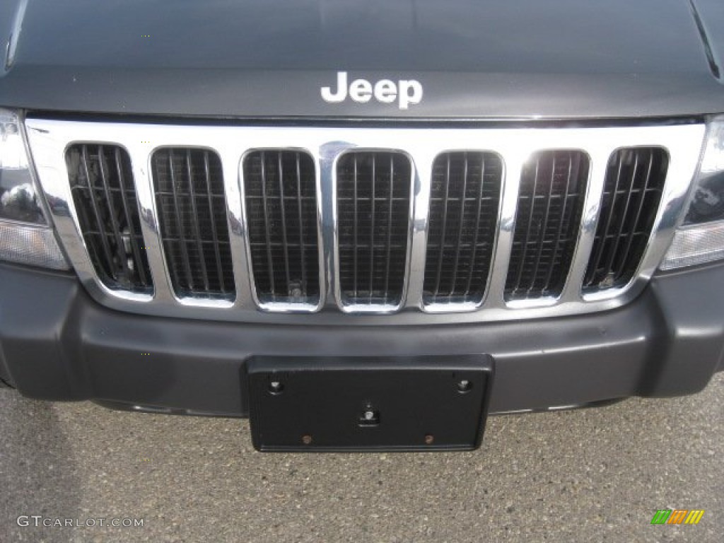 2003 Grand Cherokee Laredo 4x4 - Brilliant Black / Dark Slate Gray photo #14