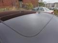 Anthracite Metallic - TL 3.2 Photo No. 24