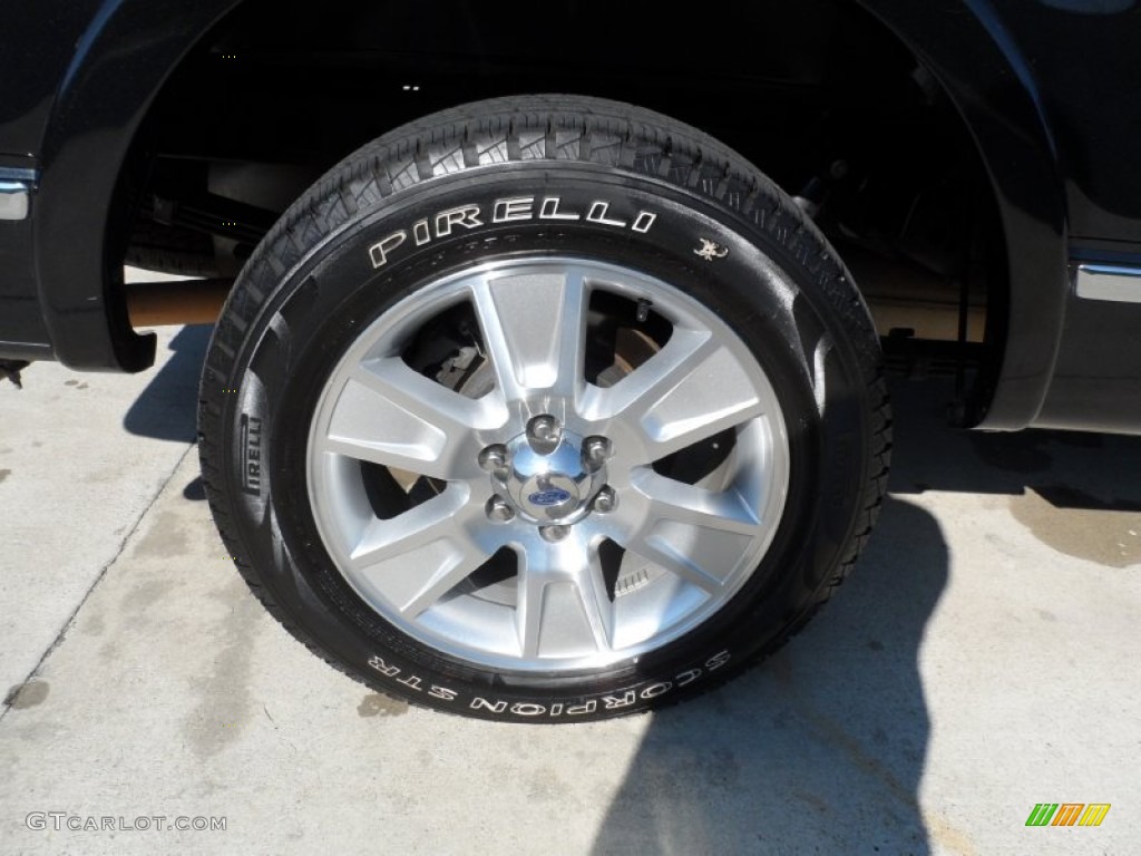 2010 F150 Platinum SuperCrew - Tuxedo Black / Sienna Brown Leather/Black photo #14