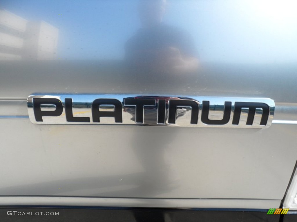 2010 F150 Platinum SuperCrew - Tuxedo Black / Sienna Brown Leather/Black photo #20