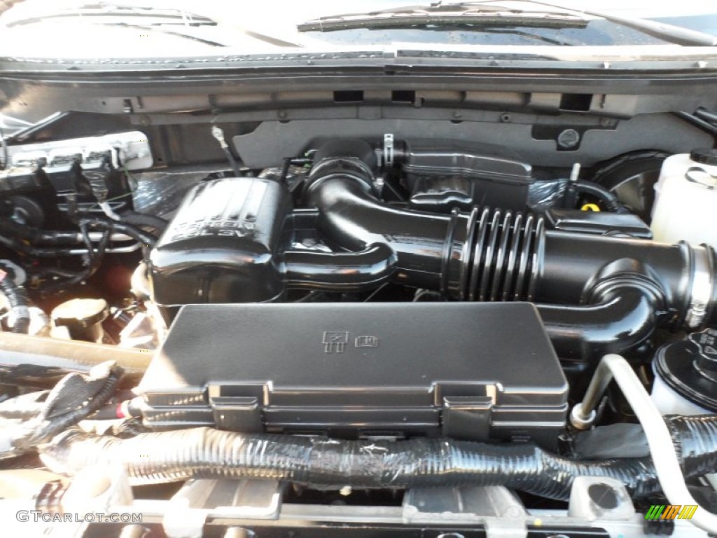 2010 F150 Platinum SuperCrew - Tuxedo Black / Sienna Brown Leather/Black photo #25