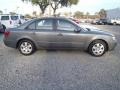 Willow Gray - Sonata GLS Photo No. 3