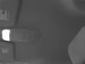 Titanium Gray Metallic - MPV LX Photo No. 14