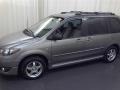 Titanium Gray Metallic - MPV LX Photo No. 18
