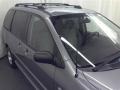 Titanium Gray Metallic - MPV LX Photo No. 20