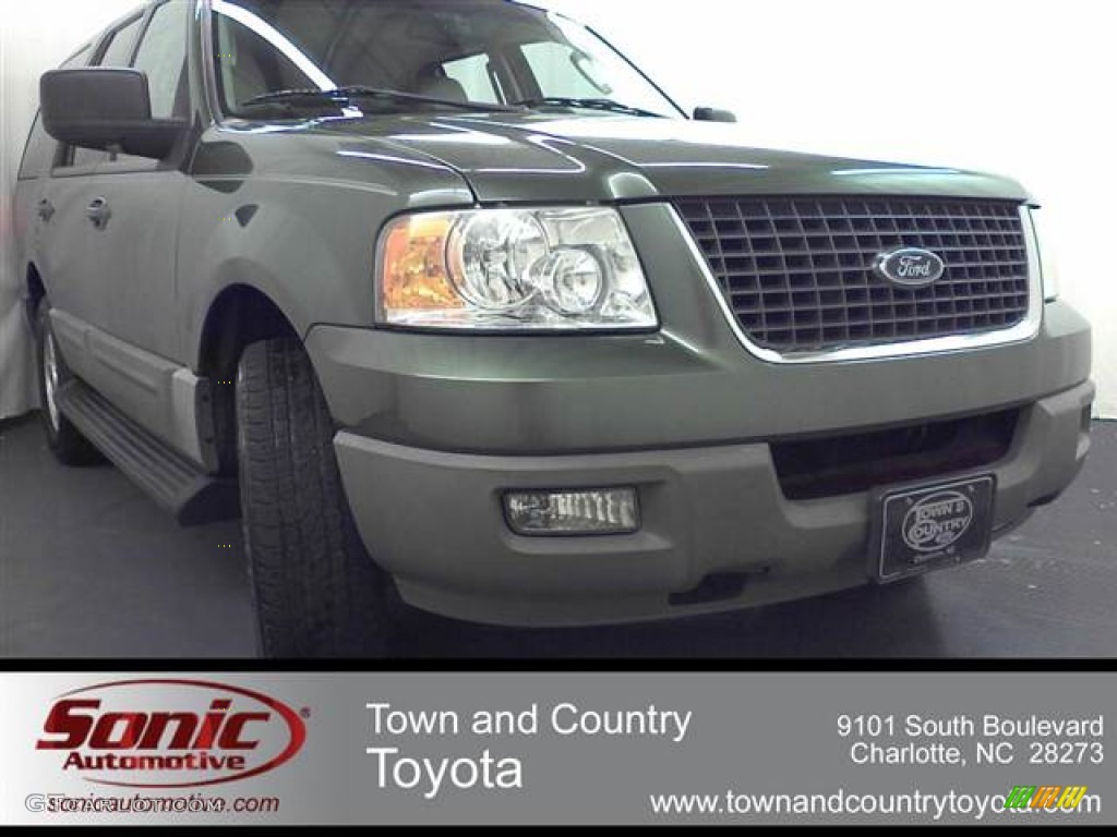 2003 Expedition XLT - Estate Green Metallic / Flint Grey photo #1