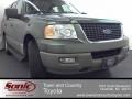 Estate Green Metallic 2003 Ford Expedition XLT