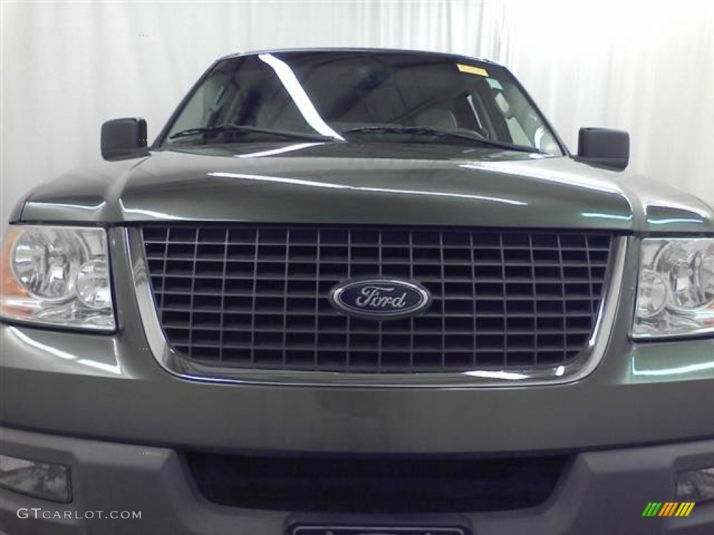 2003 Expedition XLT - Estate Green Metallic / Flint Grey photo #2