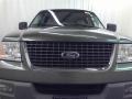 Estate Green Metallic - Expedition XLT Photo No. 2