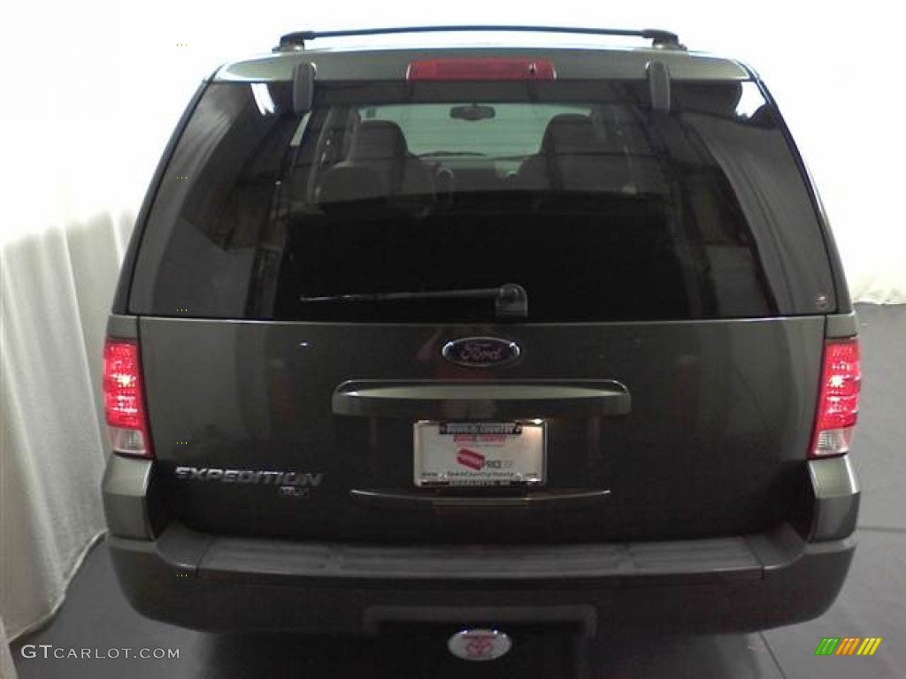 2003 Expedition XLT - Estate Green Metallic / Flint Grey photo #4