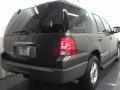 Estate Green Metallic - Expedition XLT Photo No. 16