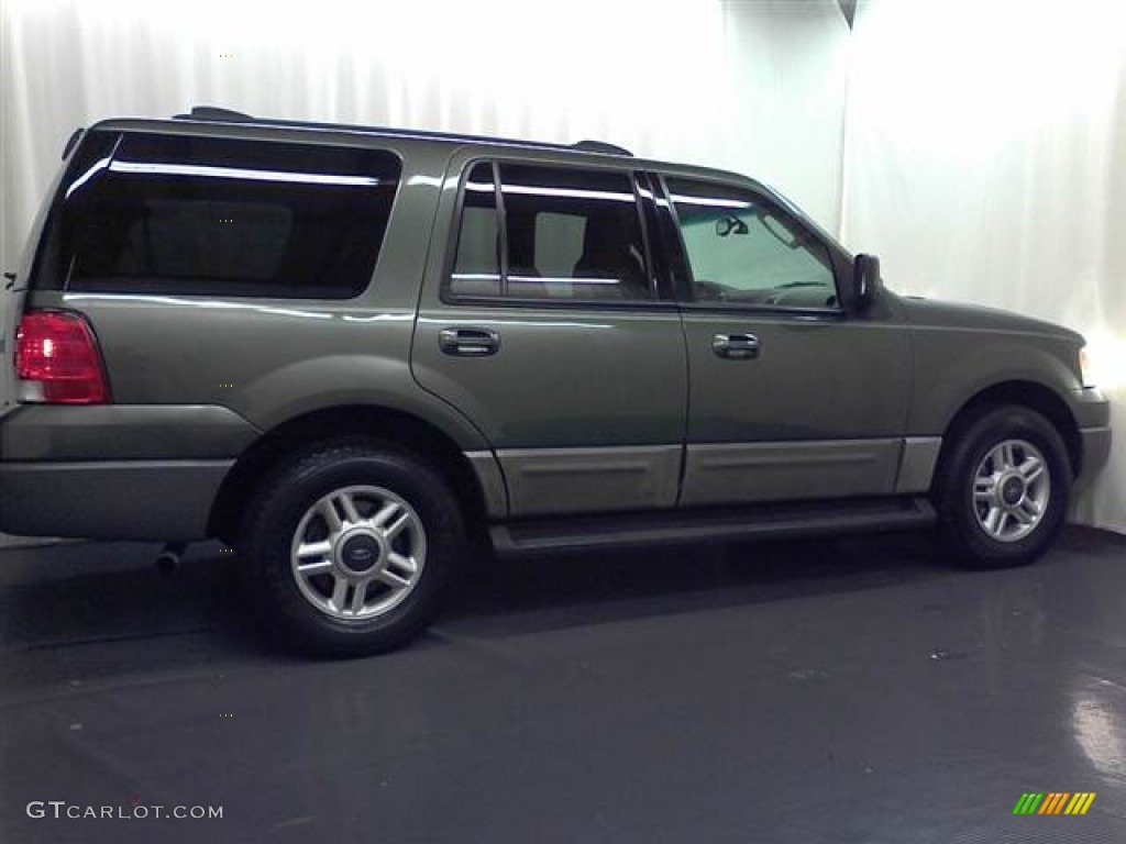 2003 Expedition XLT - Estate Green Metallic / Flint Grey photo #17