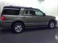 Estate Green Metallic - Expedition XLT Photo No. 17