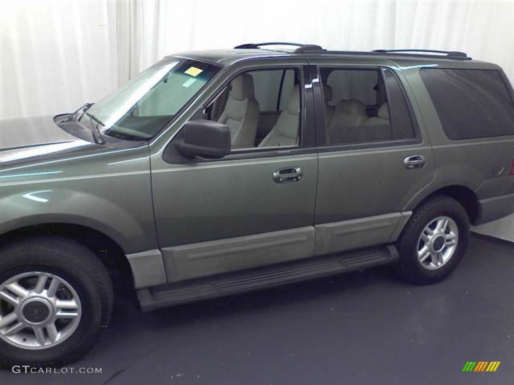 2003 Expedition XLT - Estate Green Metallic / Flint Grey photo #18