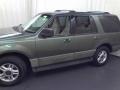 Estate Green Metallic - Expedition XLT Photo No. 18
