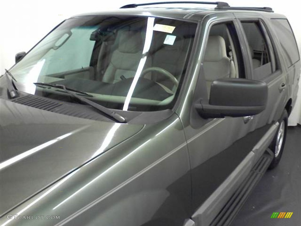 2003 Expedition XLT - Estate Green Metallic / Flint Grey photo #21