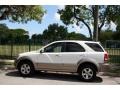 Clear White - Sorento EX Photo No. 3