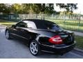 2005 Obsidian Black Metallic Mercedes-Benz CLK 500 Cabriolet  photo #8