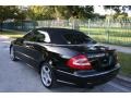 2005 Obsidian Black Metallic Mercedes-Benz CLK 500 Cabriolet  photo #9