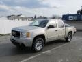 Silver Birch Metallic 2009 GMC Sierra 1500 SL Crew Cab 4x4