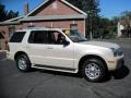 Light French Silk Metallic - Mountaineer V6 Premier AWD Photo No. 10