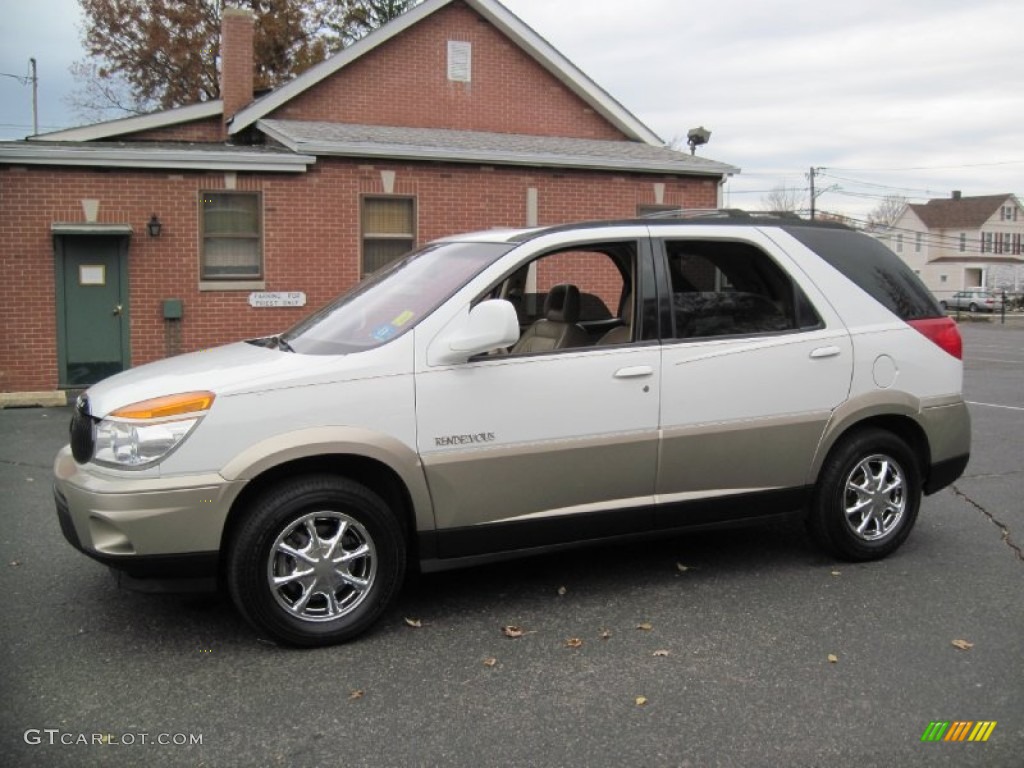 2002 Rendezvous CXL AWD - Bright White / Medium Oak photo #1