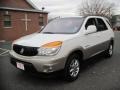 2002 Bright White Buick Rendezvous CXL AWD  photo #2