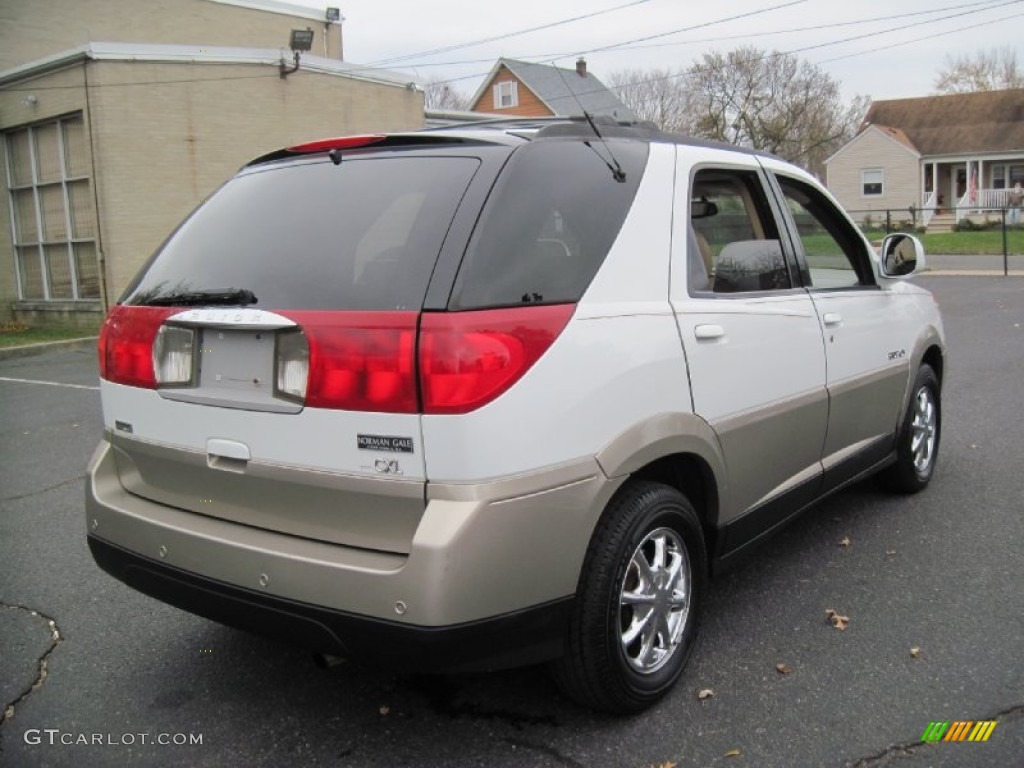 2002 Rendezvous CXL AWD - Bright White / Medium Oak photo #7