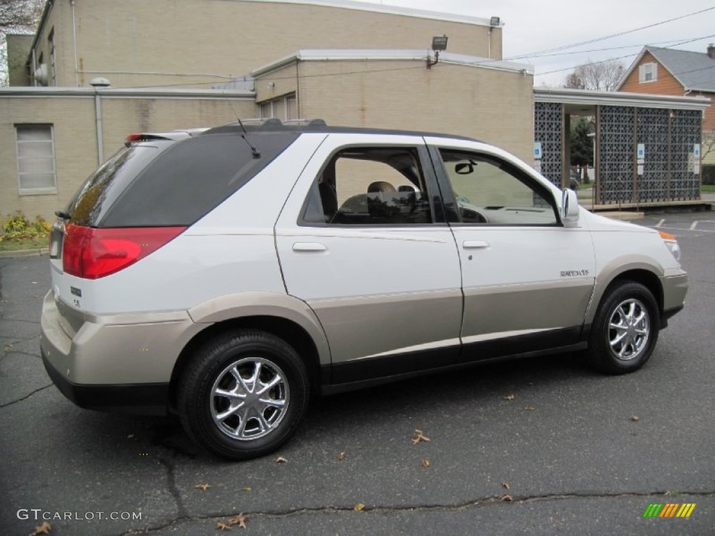 2002 Rendezvous CXL AWD - Bright White / Medium Oak photo #8