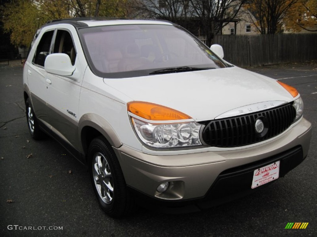 2002 Rendezvous CXL AWD - Bright White / Medium Oak photo #11