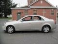Light Platinum - CTS Sedan Photo No. 3