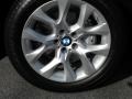 2012 Sparkling Bronze Metallic BMW X5 xDrive35i Premium  photo #5