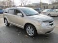 Light Sandstone Metallic - Journey SXT AWD Photo No. 6