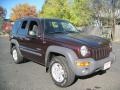 2004 Deep Molten Red Pearl Jeep Liberty Sport 4x4  photo #11