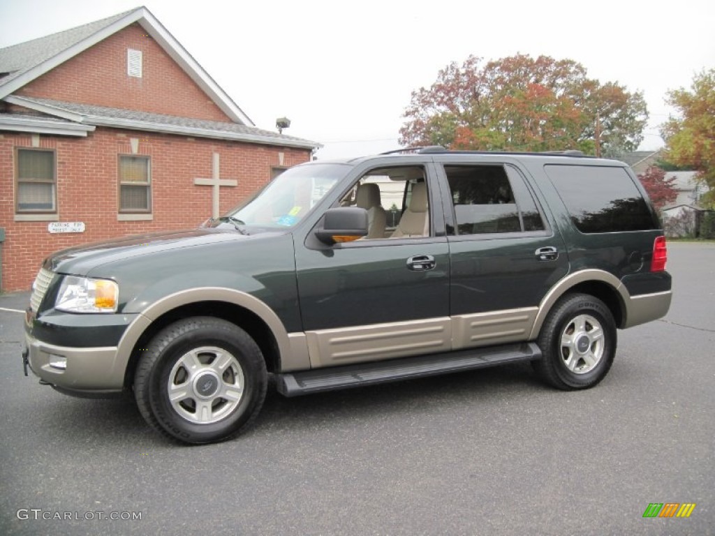 2003 Expedition Eddie Bauer 4x4 - Aspen Green Metallic / Medium Parchment photo #1