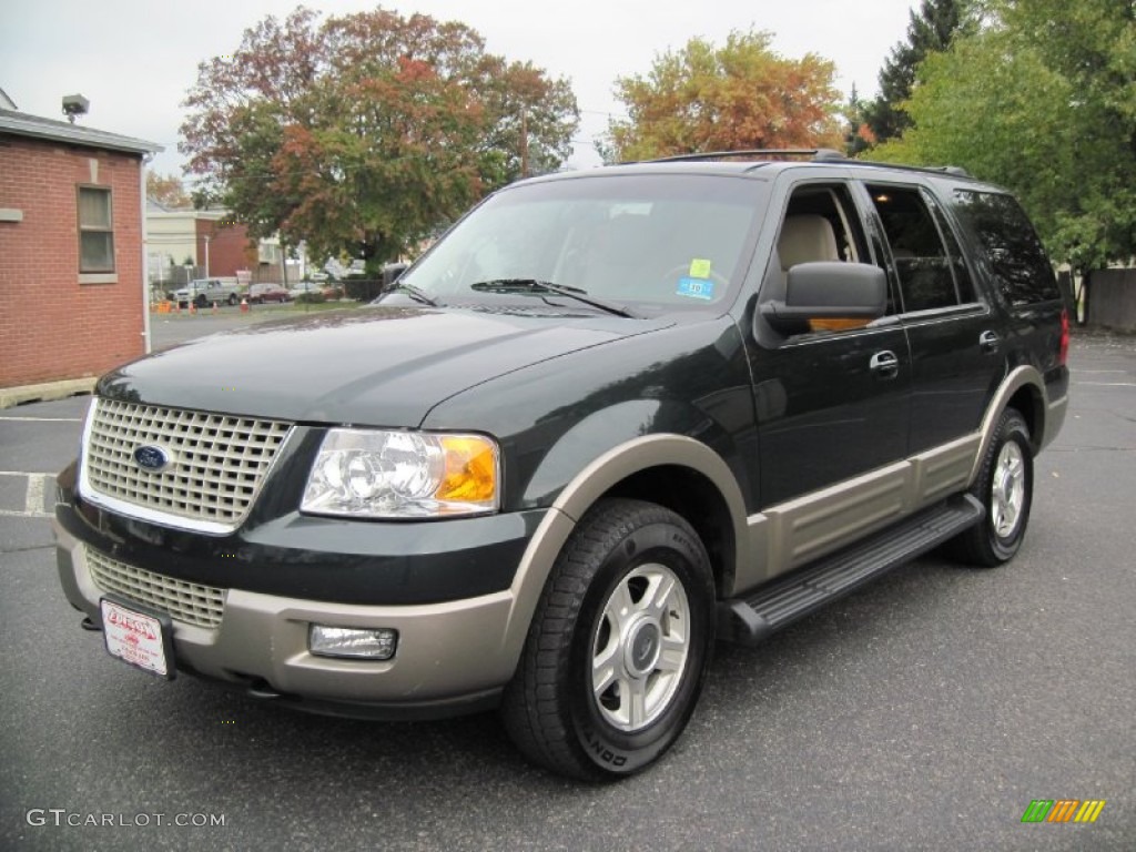 2003 Expedition Eddie Bauer 4x4 - Aspen Green Metallic / Medium Parchment photo #2